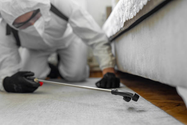 Professional Mosquito Control technician working in New London, OH