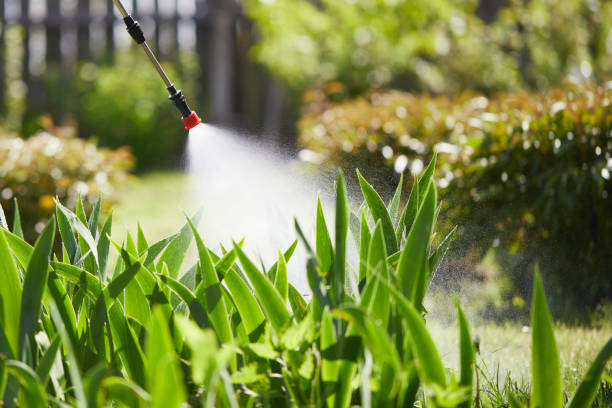 24/7 Emergency Mosquito Control experts in New London, OH