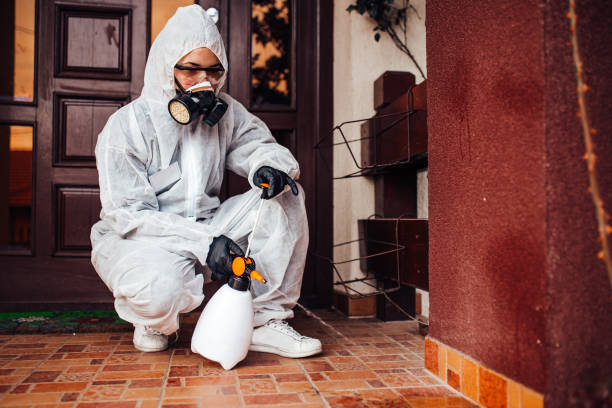 Reliable Mosquito Control contractor in New London, OH by Nex Pest Control