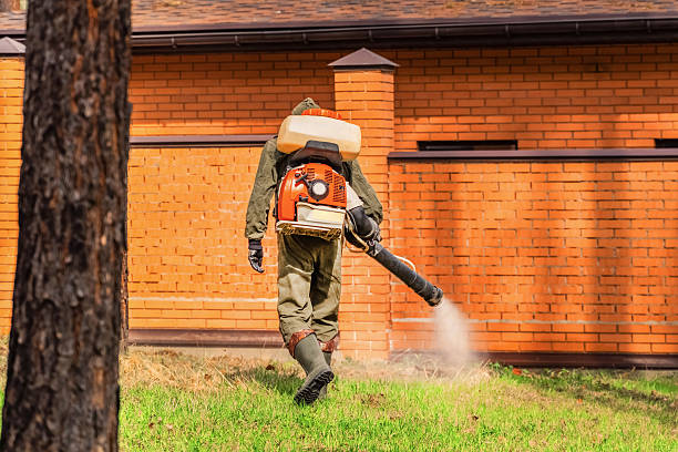 Trusted Emergency Pest Control service in New London, OH - Nex Pest Control